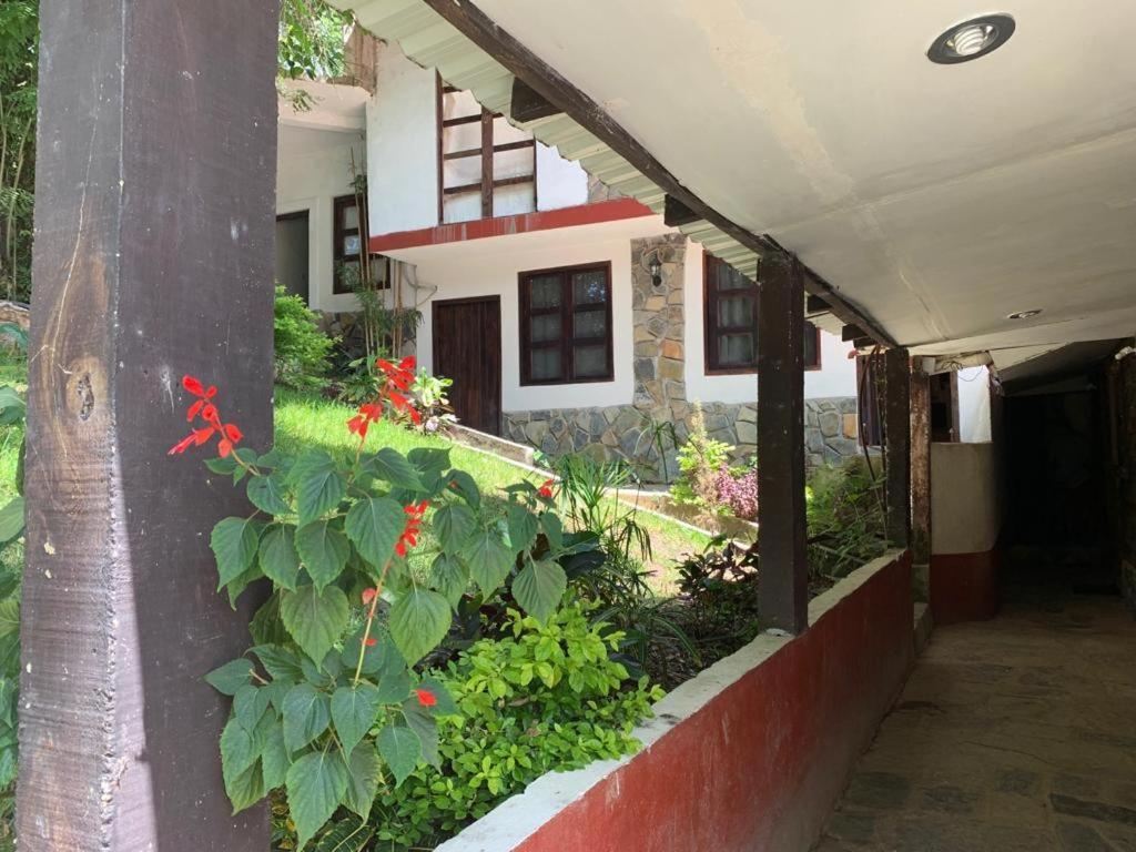 Finca Quinta Los Cedros Ксилитла Екстериор снимка