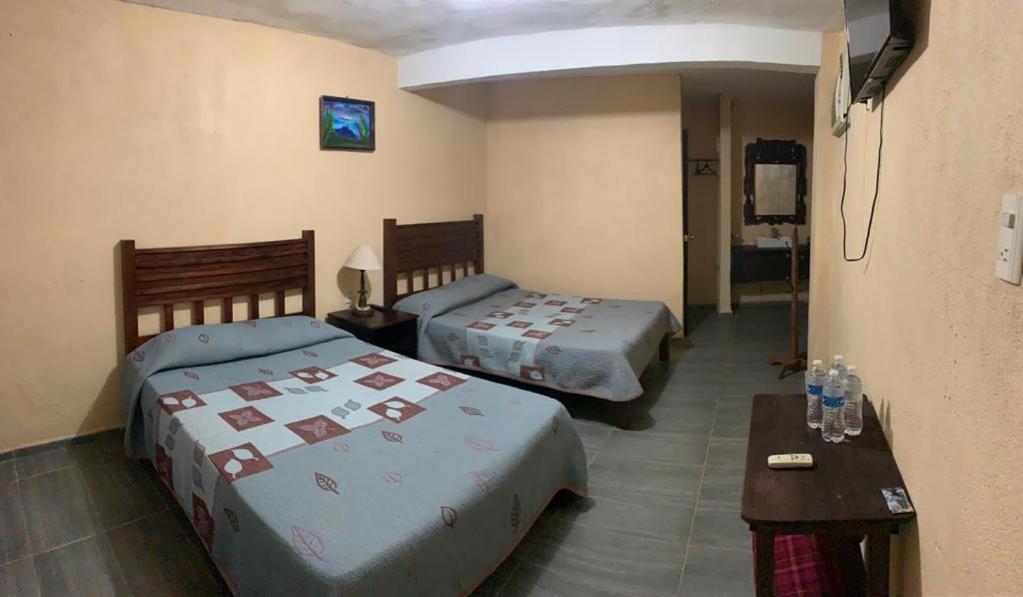 Finca Quinta Los Cedros Ксилитла Екстериор снимка